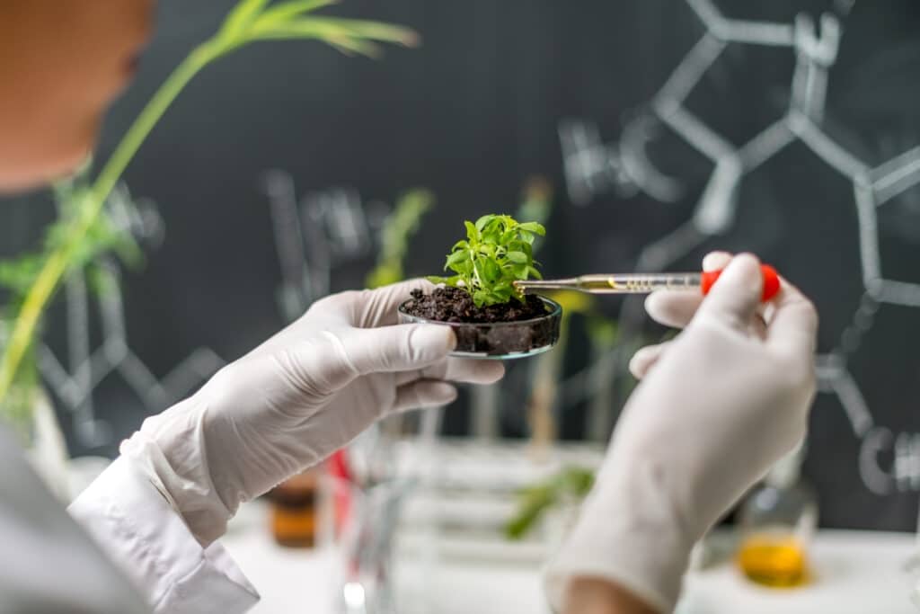 Test di biodegradabilità e compostabilità